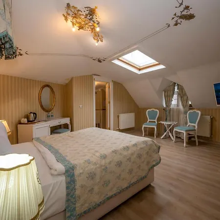 Paradiso & * Istanbul