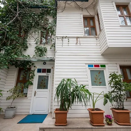 Paradiso & * Istanbul